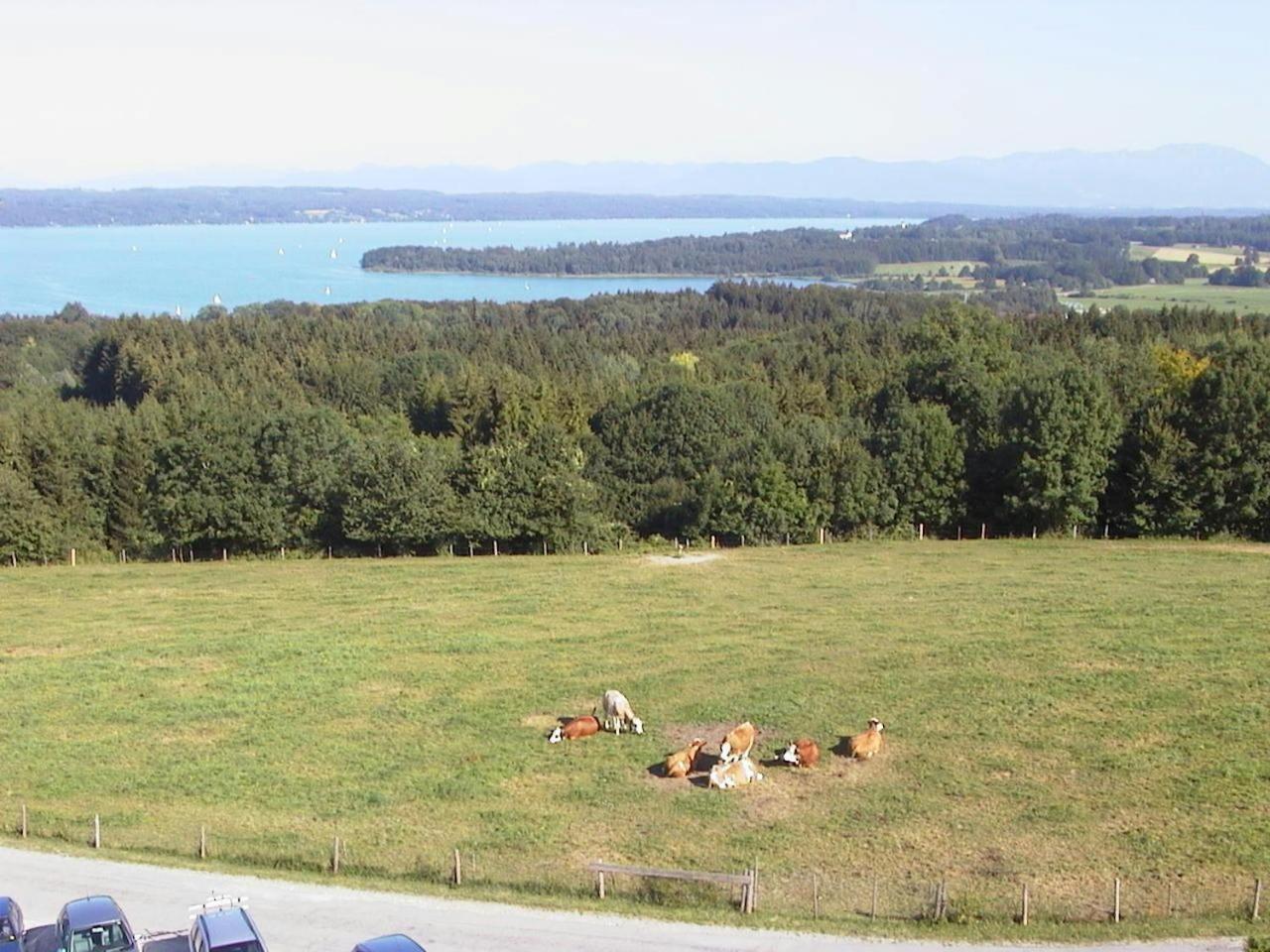 Casa Piedro Appartement Starnberg Buitenkant foto